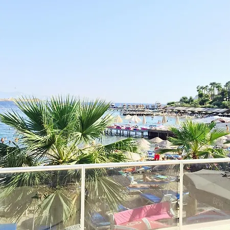 酒店 Comfy With Shared Pool Near 3*