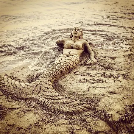 Hotell Comfy With Shared Pool Near Bodrum