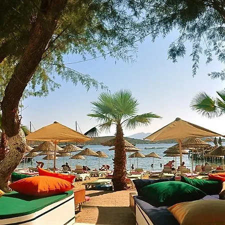 Comfy With Shared Pool Near Hotell Bodrum