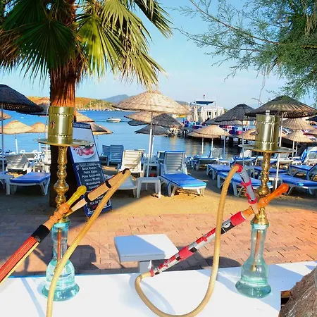 Comfy With Shared Pool Near