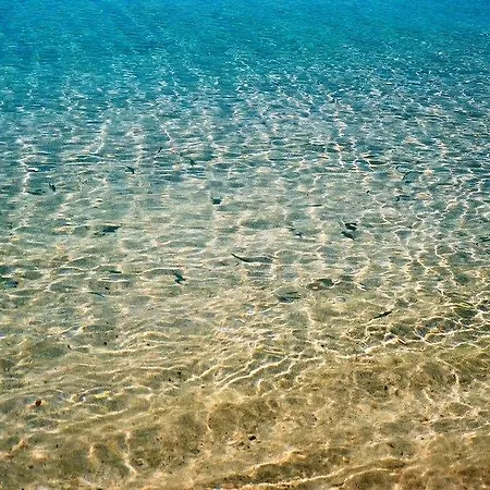 Comfy With Shared Pool Near מלון 3*