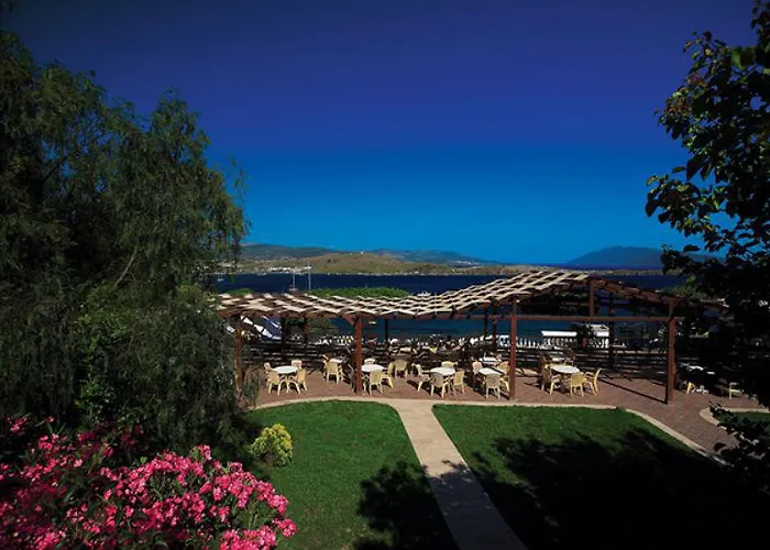 Comfy With Shared Pool Near Hotel Bodrum