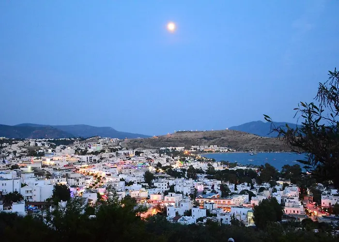 Comfy With Shared Pool Near 3* ボドルム